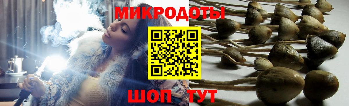Дербент  Галлюциногенные грибы Psilocybine cubensis  Псилоцибиновые грибы Cubensis  Вход с VPN 